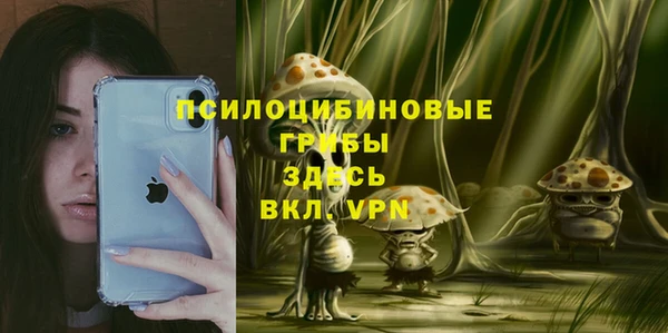 спиды Армянск