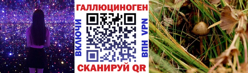 Псилоцибиновые грибы Psilocybine cubensis  где купить наркоту  omg зеркало  Тавда 